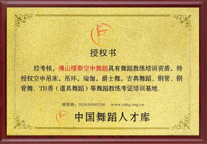 佛山缪斯空中舞蹈